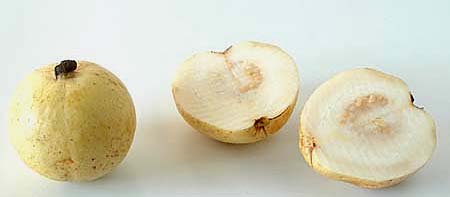 Ripe Guava (Jama Pandu, Amrud, Peyara)