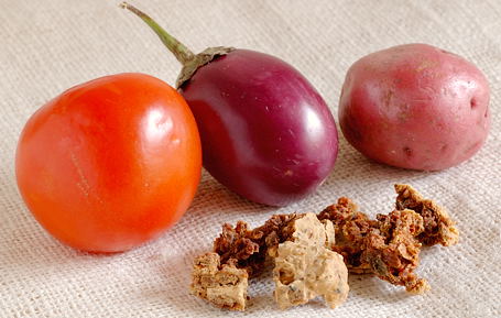 Tomato, Purple Brinjal and Red Potato with Broken Pieces of Punjabi Wadi