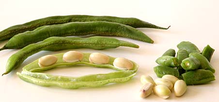 Indian Broad Beans, Chikkudu Kayalu