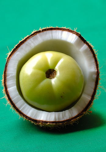 Unripe Tomato and Fresh Coconut