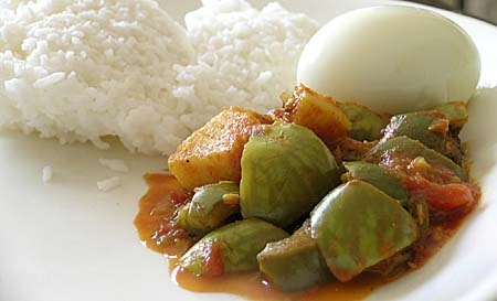Brinjal & Potato Curry with Rice and Boiled Egg