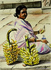 Banana Vendor by Sree