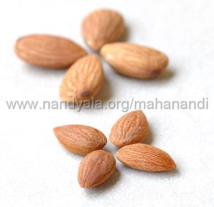 Almonds and Apricot Kernels (Badam and Khubani)