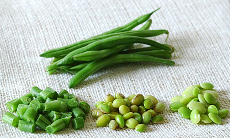 Green Beans, Shelled Indian Beans, Baby Lima Beans