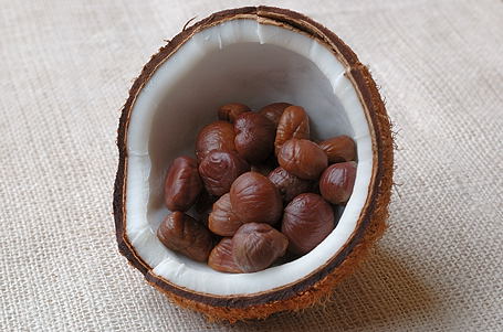 Chestnuts and Coconut