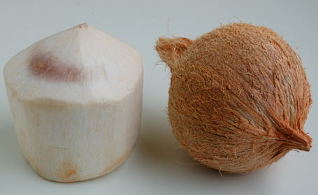 Coconut - Young and Mature