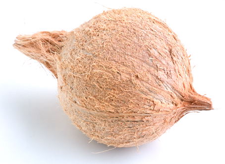 Coconut for Pooja
