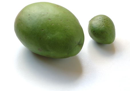 Mango and Vadu Mango