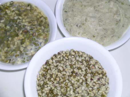 Split moong dal - Soaked in water - Grind to paste