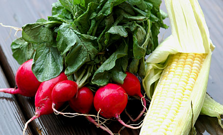 Red Radishes and Fresh Corn From the Farmers Market