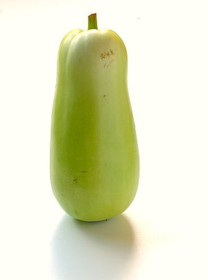 Bottle Gourd (Sorakaya, Dudhi, Lauki, Opo Squash)