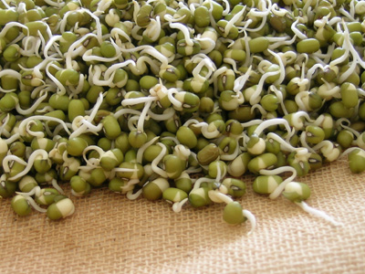 Sprouted Moong Dal(Mung Beans)