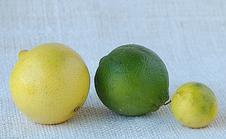 Sweet Lime (Mitha Nimboo, Limetta), Lime and Small Lime (Key Lime)