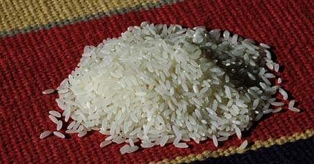 Sona Masuri Rice - Grown and Imported from Andhra, India