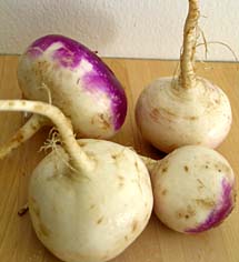 Turnips (Shalgam)