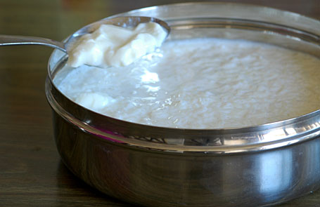 Adding yogurt culture to warm rice-milk mixture